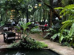 -Fern Forest Cafe
