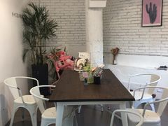 -有猫主题·治愈系猫咖(曾厝垵店)