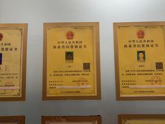 -伟伟宠物医院·瑞派猫友好医院·猫科(光谷店)