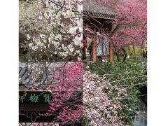 -杭州植物园