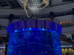-OPEN開全日自助餐厅·西餐·海鲜(佛山希尔顿酒店)