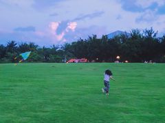 -九里香奶茶果汁(碧湖店)