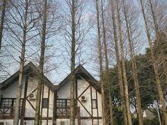 -太阳岛度假酒店