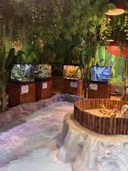 -酷嗒动物文化乐园(cutezoo西溪乐天城店)