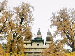 -北京石刻艺术博物馆(五塔寺)