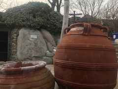 -仁爱团泊湖温泉中心