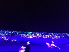 -鼎盛王朝康熙大典实景演出