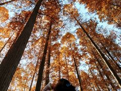 -南京市无想山景区