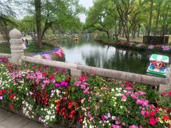 -苏州上方山国家森林公园