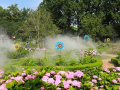 -上海共青森林公园