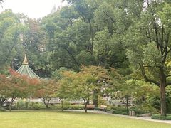 -申粤轩酒楼·三十年粤菜经典(丁香花园店)
