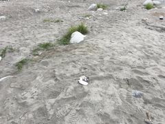 -海窝子古镇