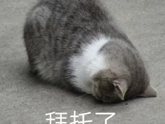 -青岛市图书馆