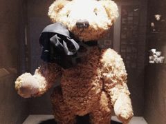 -济州岛泰迪熊博物馆