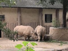 -重庆动物园·东二门售票处