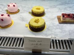 -Madeleine玛德琳(永平里店)