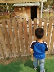 -萌宠亲子动物乐园(槐房万达店)