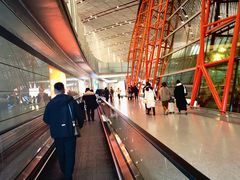 -苹果树下艺术餐厅(通州店)