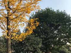 -浙江万里学院(钱湖校区)