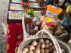 -马陆小张葡萄园农家乐