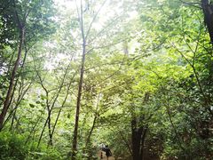 -北京西山国家森林公园