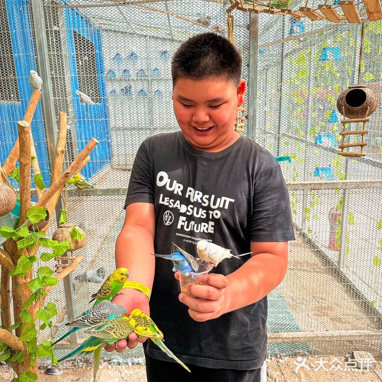 北京周末遛娃好去处,捞鱼挖沙子吃自助