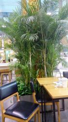 -安利上海体验馆