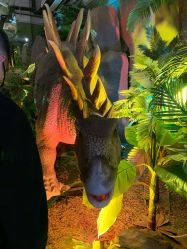 -恐龙探索乐园(磁器口店)