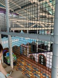 点击看大图 -卡通尼乐园(重庆南坪协信星光店)