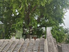 -自如ZSPACE四合院艺术餐厅