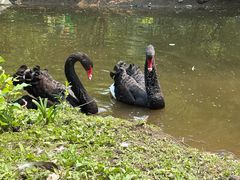 -长白岛森林公园