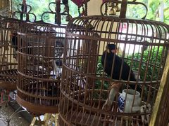-西双版纳融创皇冠假日度假酒店