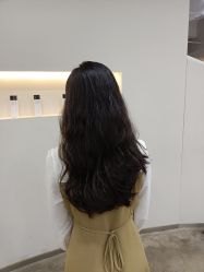 -蚂蚁造型沙龙