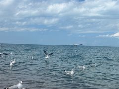 -青海湖国家重点风景名胜区