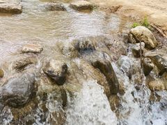-云岗森林公园