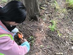 -嘉北郊野公园