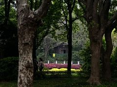 -蠡湖中央公园