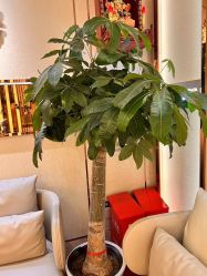 -茜尔维亚修身连锁(杨浦五角场店)