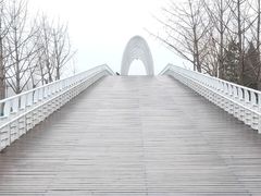 -大兴滨河森林公园