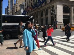 -美国自然历史博物馆