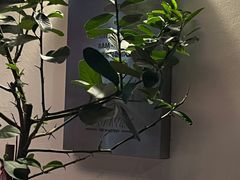 -The Roastery By AllYouWant(福田店)