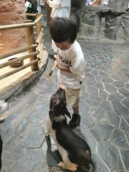 -Zoolung Zoolung动物主题公园(海信广场店)