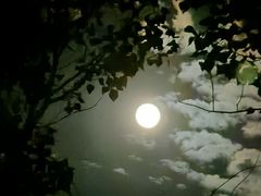 -拾光秀照相馆(石家庄勒泰中心店)