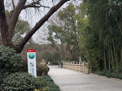 -昆山城市生态森林公园