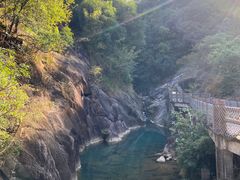 -广州白江湖森林公园