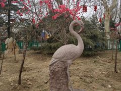 -石家庄市动物园