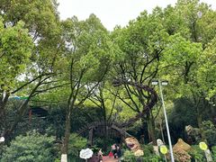 -杭州少年儿童公园