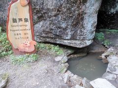 -汤旺河林海奇石景区