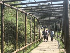 -常德桃花源景区