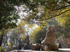 -紫金山山顶公园